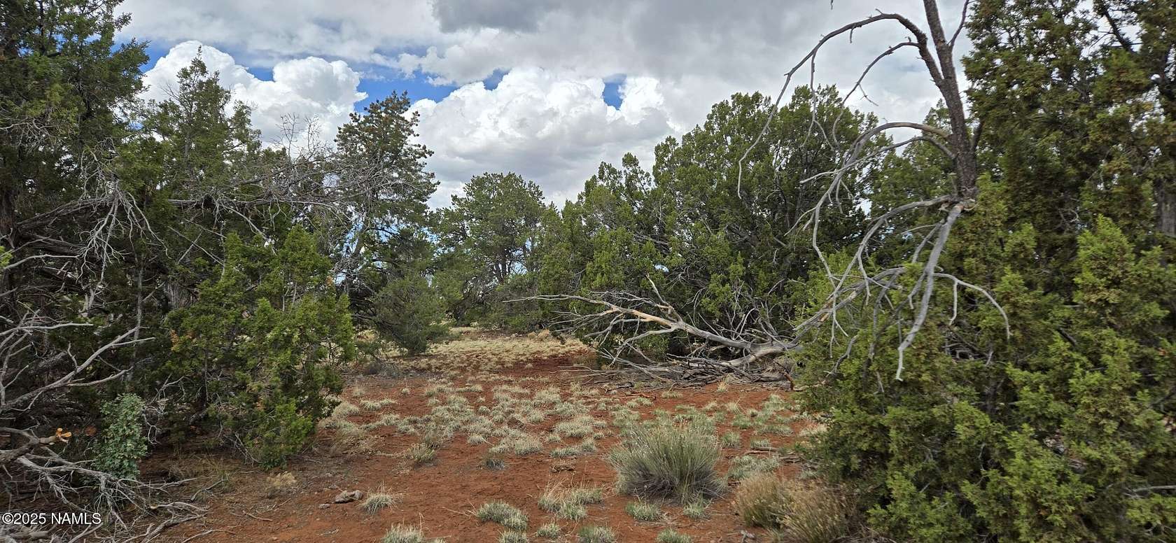 36 Acres of Recreational & Residential Land for Sale in Williams, Arizona