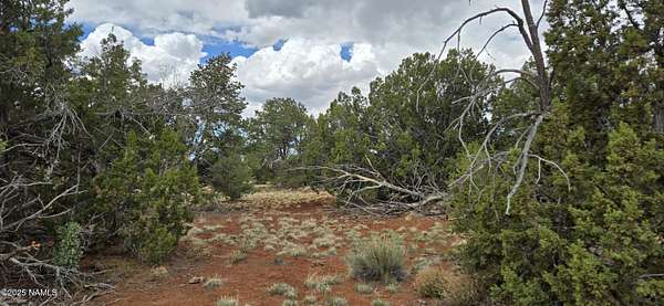 36 Acres of Recreational & Residential Land for Sale in Williams, Arizona