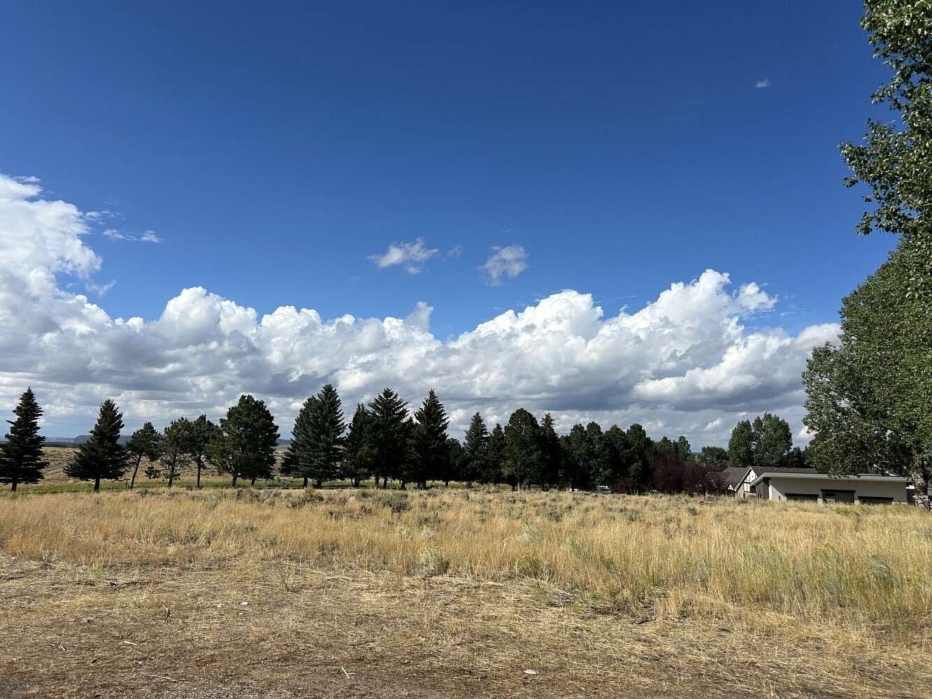 0.97 Acres of Land for Sale in Saratoga, Wyoming