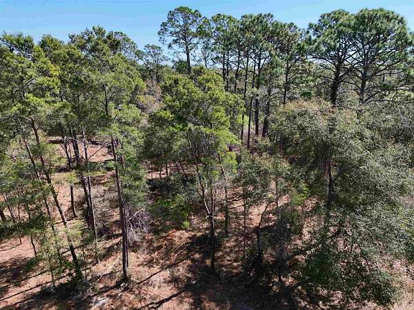 2 Acres of Residential Land for Sale in Carrabelle, Florida
