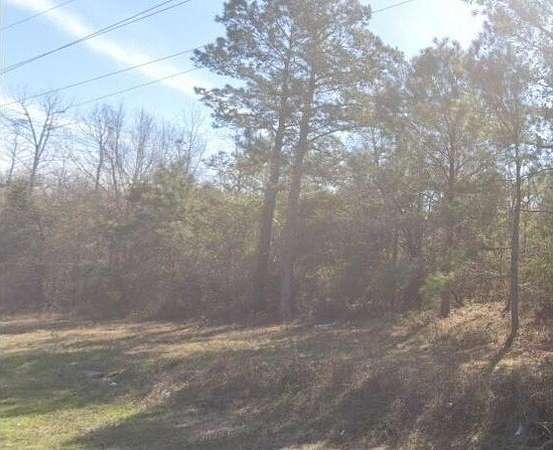 2.5 Acres of Residential Land for Sale in Manning, South Carolina
