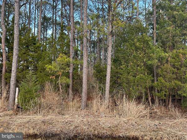 0.53 Acres of Mixed-Use Land for Sale in Cambridge, Maryland