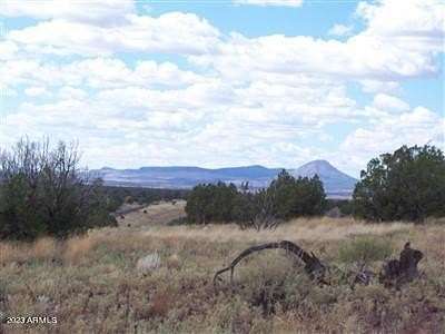 40 Acres of Agricultural & Residential Land for Sale in Ash Fork, Arizona