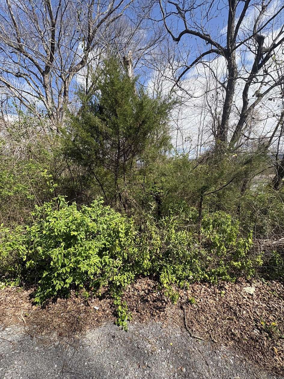 0.75 Acres of Residential Land for Sale in Etowah, Tennessee