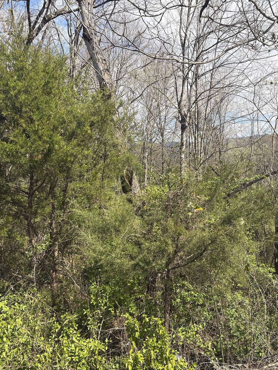 0.75 Acres of Residential Land for Sale in Etowah, Tennessee