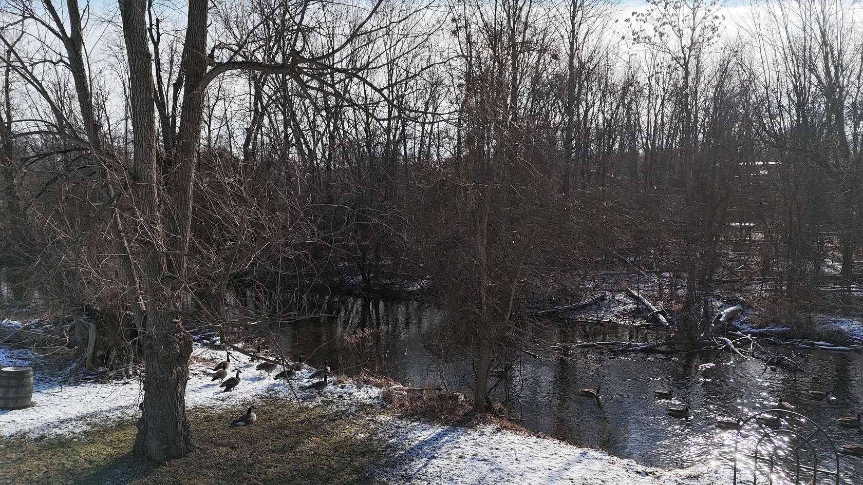 1.2 Acres of Residential Land for Sale in Dexter, Michigan