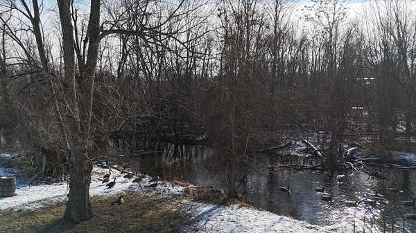 1.2 Acres of Residential Land for Sale in Dexter, Michigan