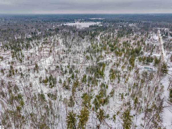 80 Acres of Land for Sale in Prescott, Michigan