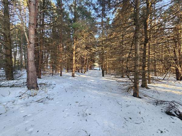 7.53 Acres of Residential Land for Sale in Scottville, Michigan