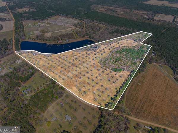 72 Acres of Recreational & Residential Land for Sale in Brooklet, Georgia