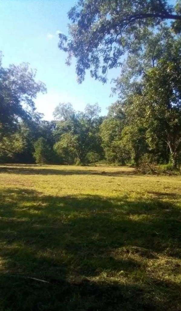 5.63 Acres of Residential Land for Sale in Ashford, Alabama
