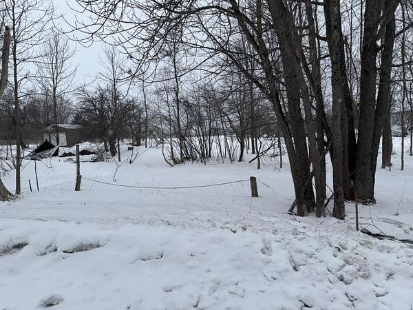 0.57 Acres of Residential Land for Sale in McMillan, Michigan