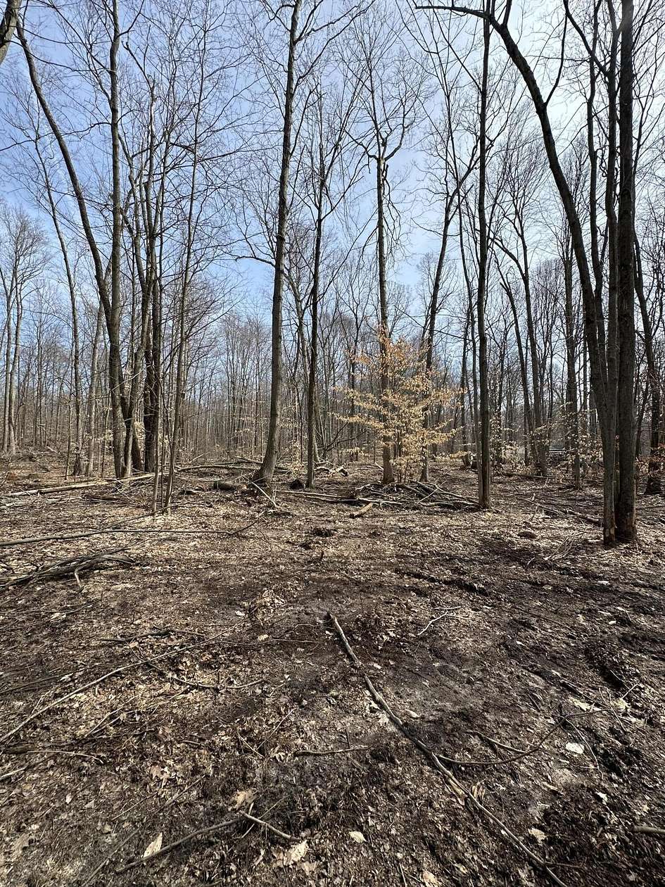 7.53 Acres of Residential Land for Sale in Allegan, Michigan