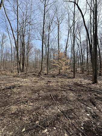 7.53 Acres of Residential Land for Sale in Allegan, Michigan