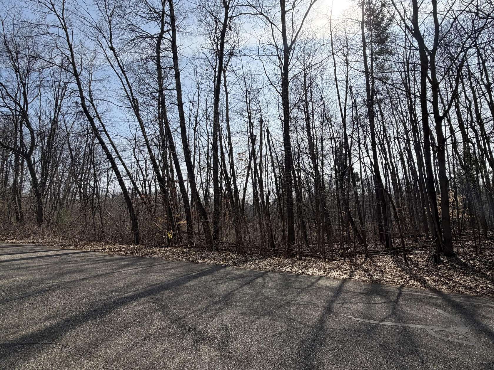 1.12 Acres of Residential Land for Sale in Gowen, Michigan