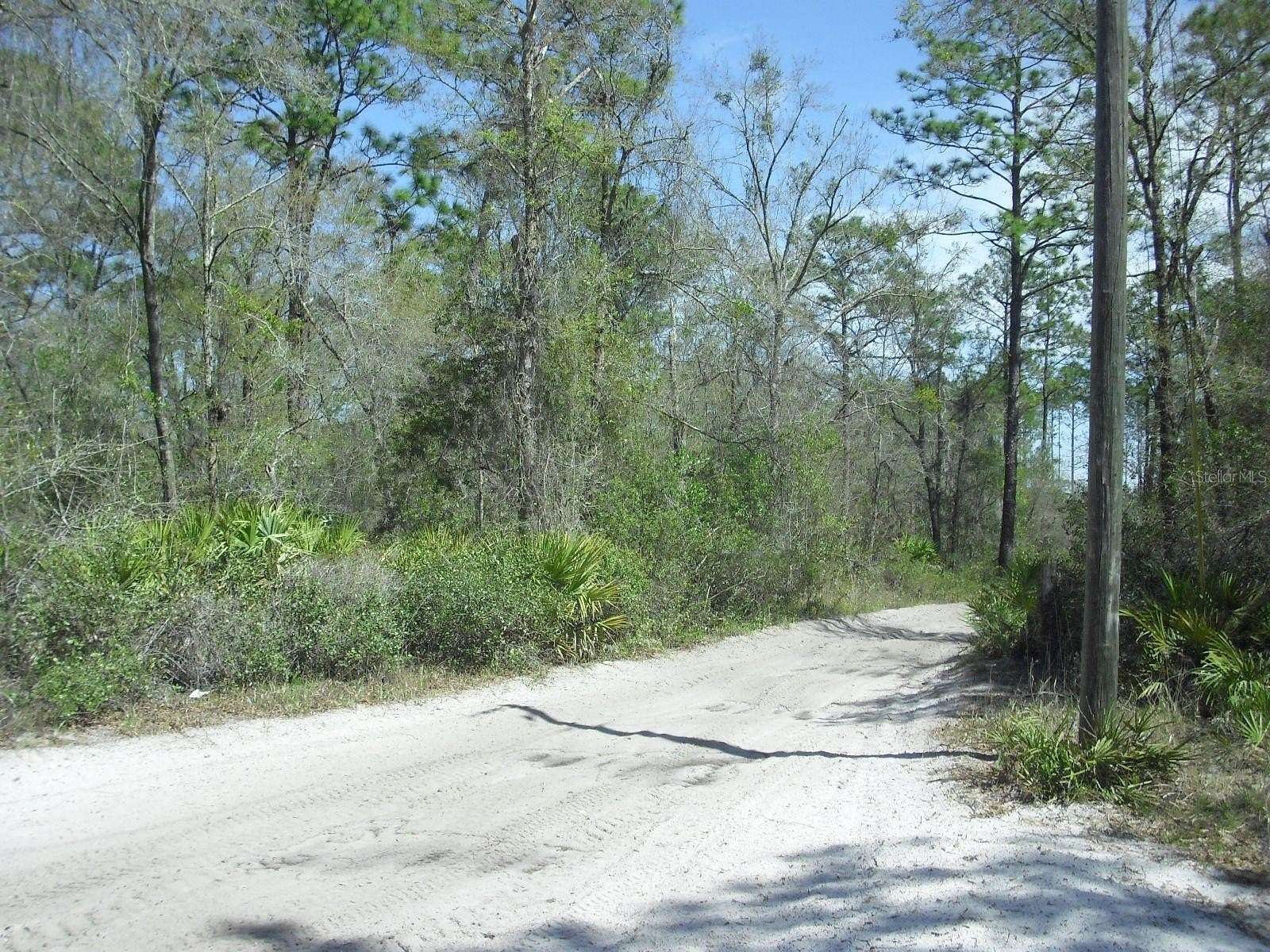 1.25 Acres of Land for Sale in Dunnellon, Florida