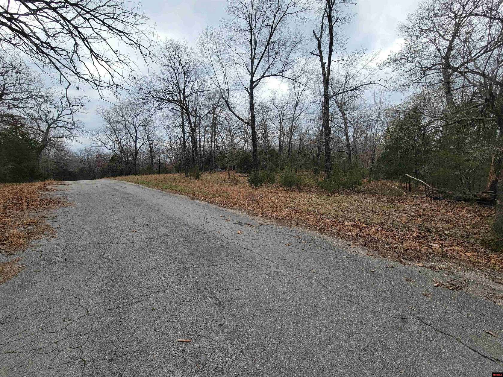 3.67 Acres of Residential Land for Sale in Theodosia, Arkansas