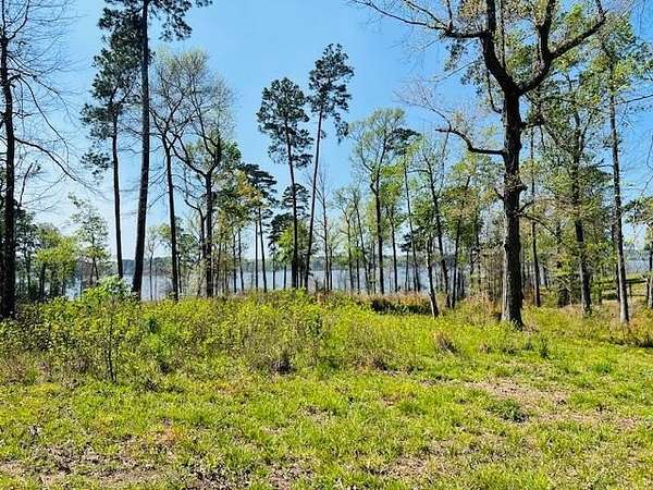 3.65 Acres of Residential Land for Sale in Milam, Texas