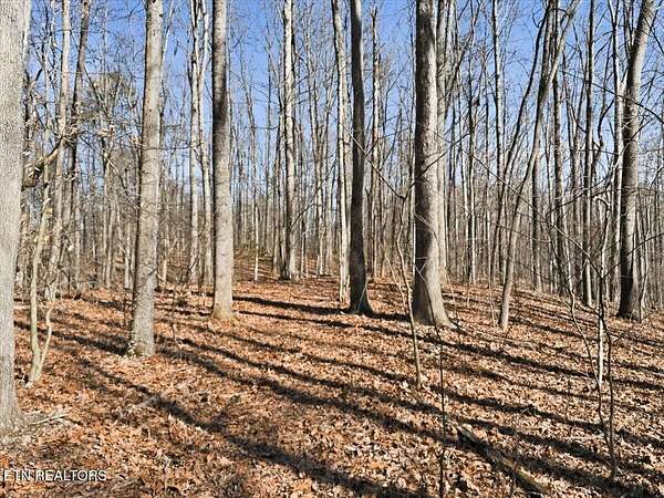 26 Acres of Land for Sale in Knoxville, Tennessee
