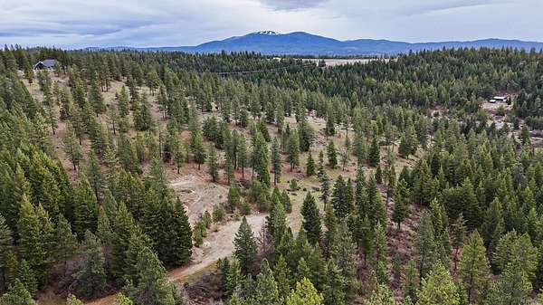 10 Acres of Land for Sale in Chattaroy, Washington