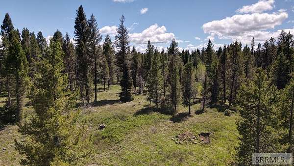 5 Acres of Land for Sale in Island Park, Idaho