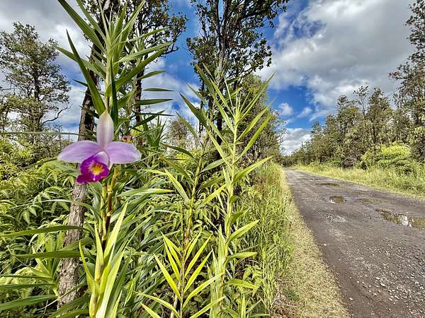 1 Acre of Land for Sale in Mountain View, Hawaii