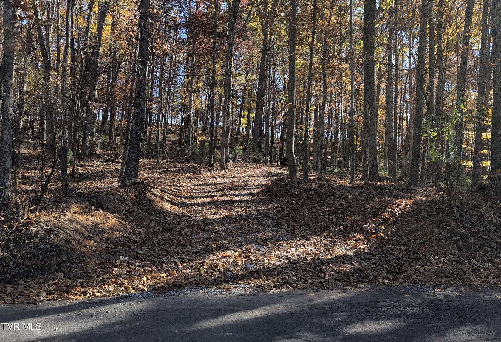 10.6 Acres of Land for Sale in Bluff City, Tennessee