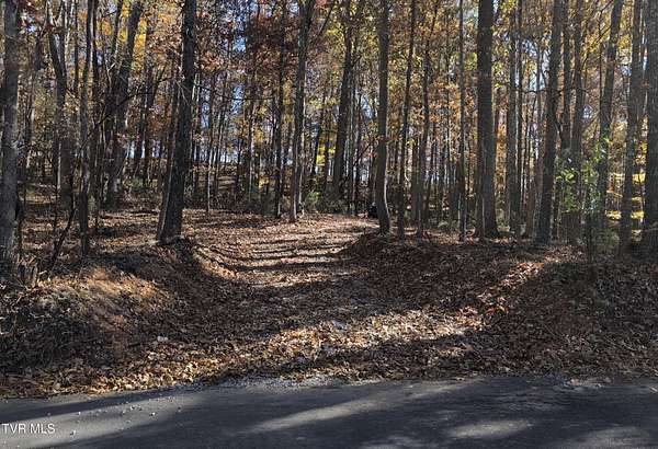 10.6 Acres of Land for Sale in Bluff City, Tennessee