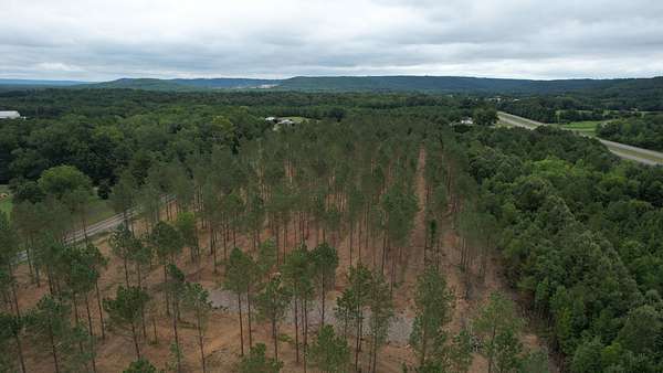 7 Acres of Land for Sale in Falkville, Alabama