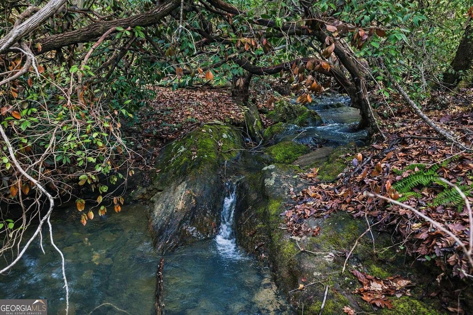 45.9 Acres of Recreational & Residential Land for Sale in Clarkesville, Georgia