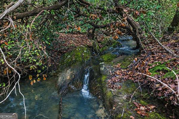 45.9 Acres of Recreational & Residential Land for Sale in Clarkesville, Georgia