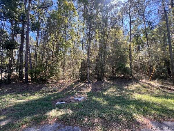 0.36 Acres of Residential Land for Sale in Citrus Springs, Florida