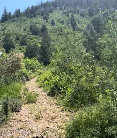 0.78 Acres of Residential Land for Sale in Kamas, Utah