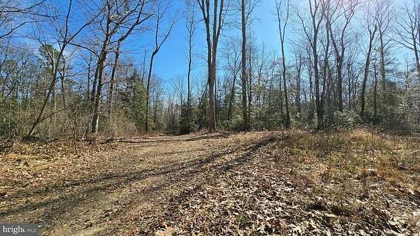 208 Acres of Recreational & Residential Land for Sale in Salem, New Jersey