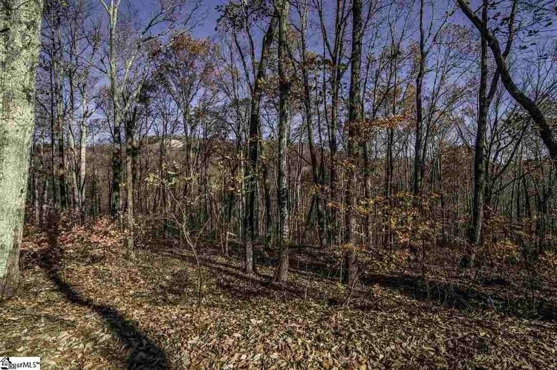 1.3 Acres of Land for Sale in Travelers Rest, South Carolina