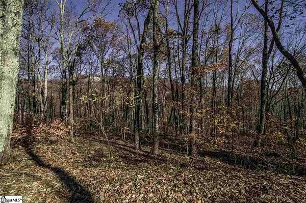 1.3 Acres of Land for Sale in Travelers Rest, South Carolina