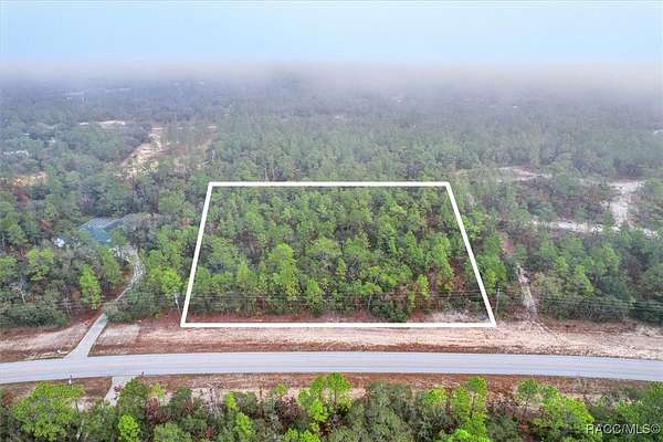 3.27 Acres of Residential Land for Sale in Beverly Hills, Florida