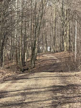 6.5 Acres of Residential Land for Sale in Gobles, Michigan