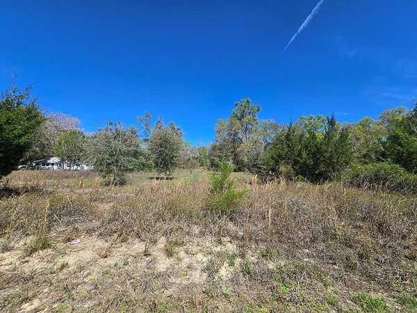 1 Acre of Residential Land for Sale in Trenton, Florida
