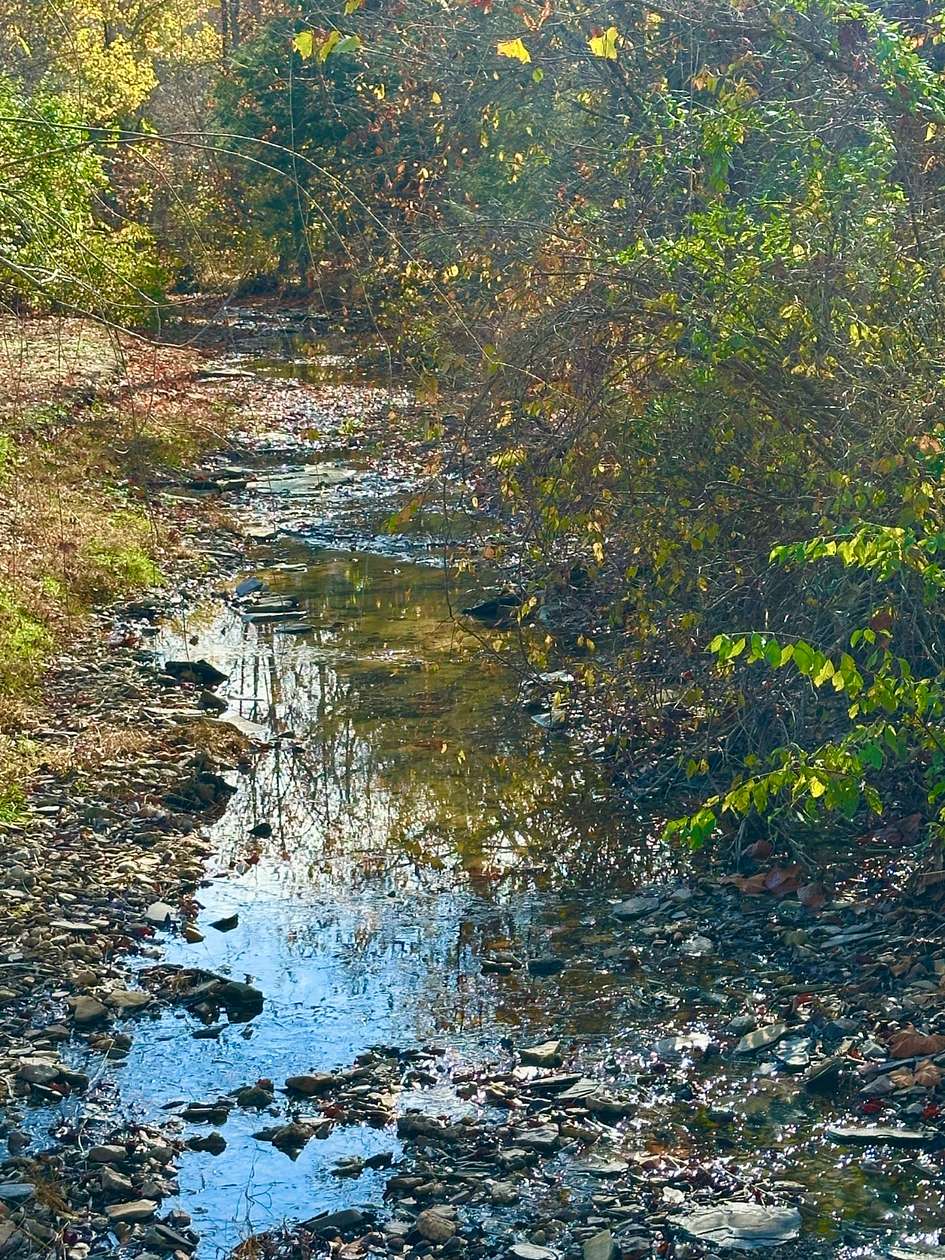 54.9 Acres of Land for Sale in Elk Horn, Kentucky