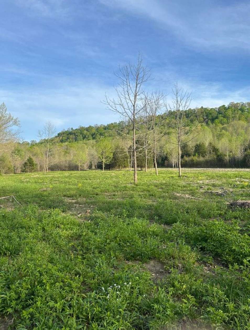 54.9 Acres of Recreational & Residential Land for Sale in Elk Horn, Kentucky