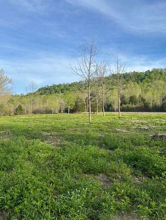 54.9 Acres of Recreational & Residential Land for Sale in Elk Horn, Kentucky