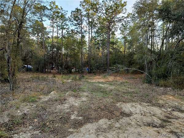 0.48 Acres of Residential Land for Sale in Hernando, Florida