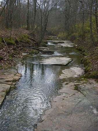 7.29 Acres of Residential Land for Sale in Loganville, Georgia