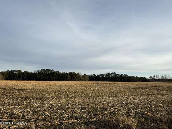 6.74 Acres of Residential Land for Sale in Roper, North Carolina