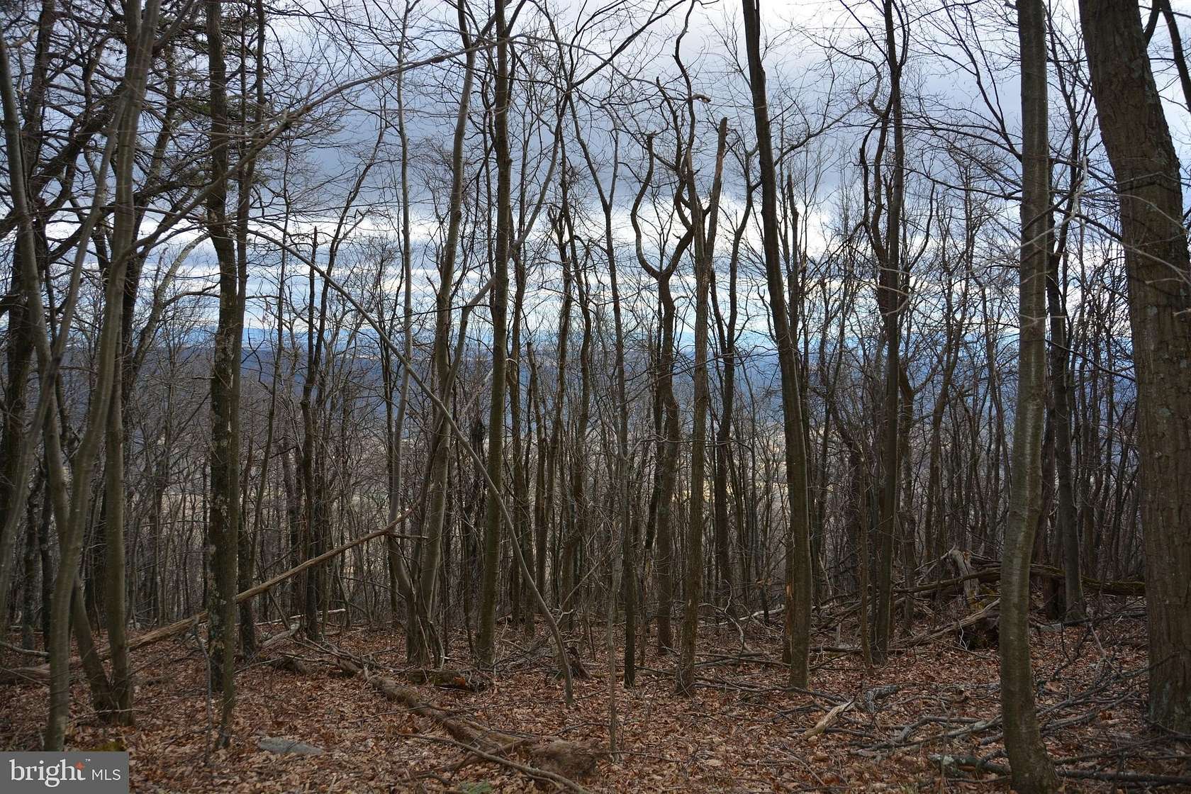 49.6 Acres of Recreational & Residential Land for Sale in Winchester, Virginia