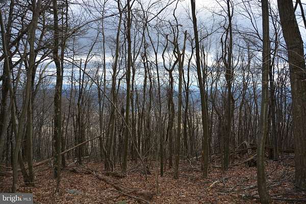 49.6 Acres of Recreational & Residential Land for Sale in Winchester, Virginia