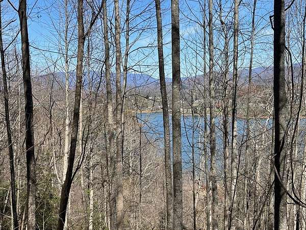 0.87 Acres of Land for Sale in Hiawassee, Georgia