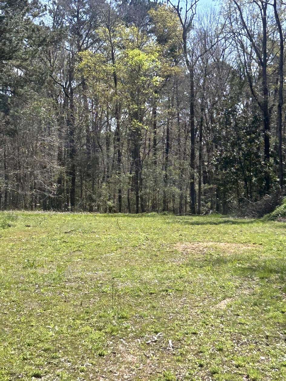 1 Acre of Residential Land for Sale in Thomson, Georgia