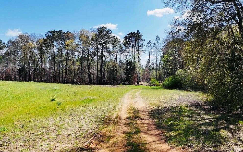 36 Acres of Recreational & Residential Land for Sale in Headland, Alabama